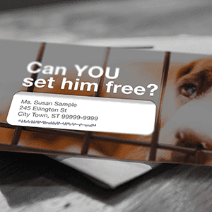 4. Personalized direct mail piece with targeted marketing messages on a USPS marketing envelope.