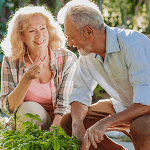 Colorful elderly couple gardening outdoors, smiling, enjoying nature, representing healthy aging and outdoor activities, Life Satisfaction.