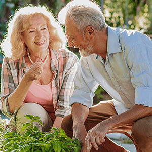 Colorful elderly couple gardening outdoors, smiling, enjoying nature, representing healthy aging and outdoor activities, Life Satisfaction.